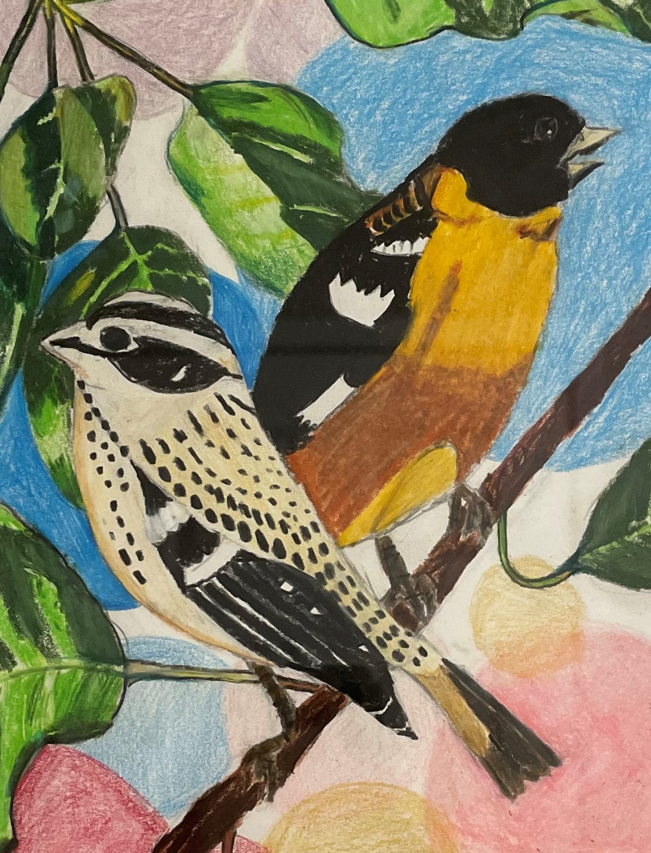 Birds