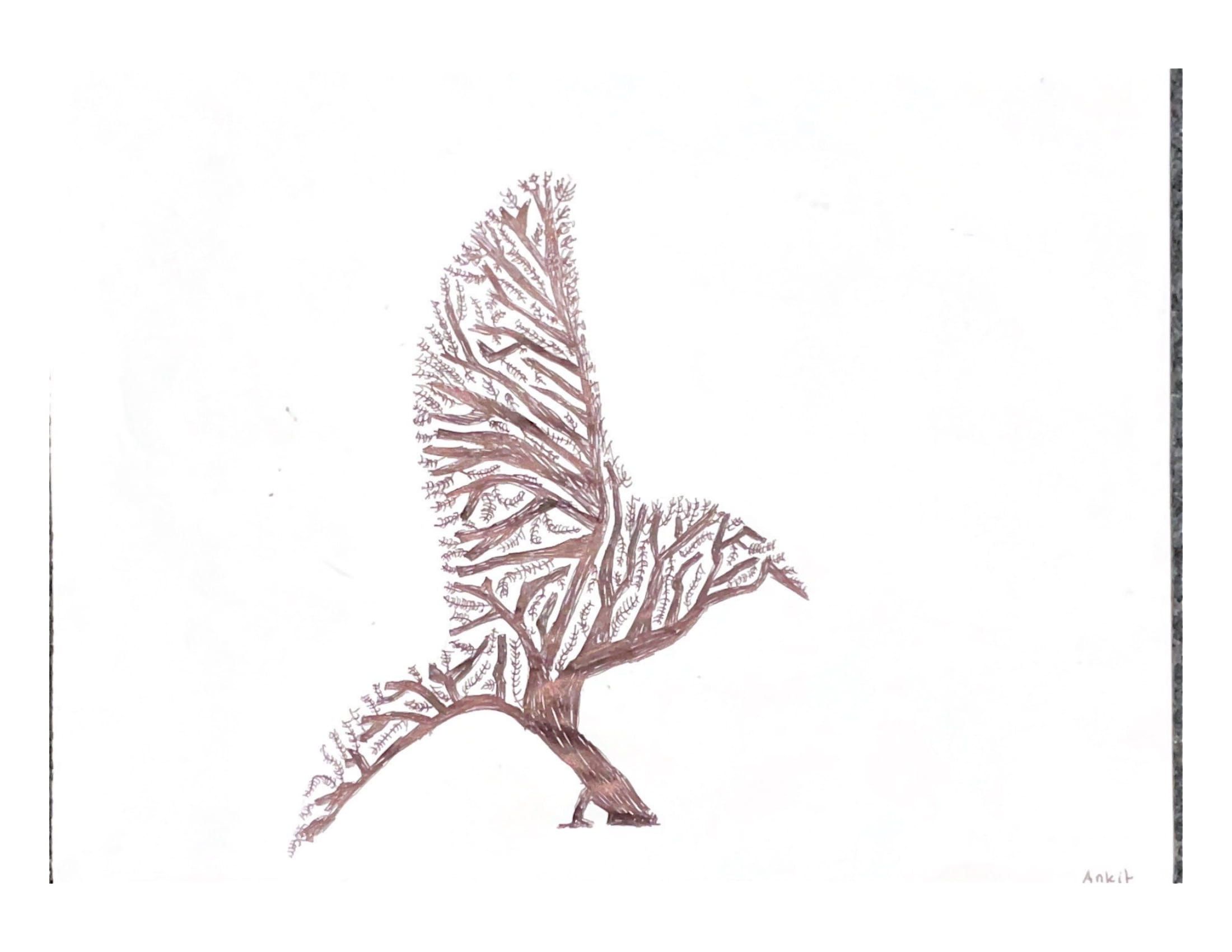 Tree bird